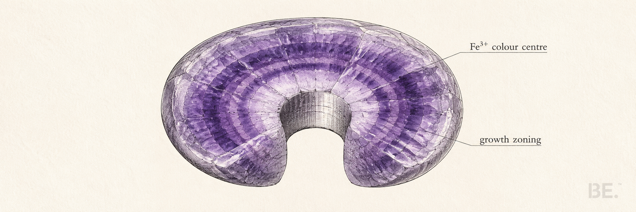 Amethyst guide hero image — geological plate illustration of amethyst crystal varieties and colour centres