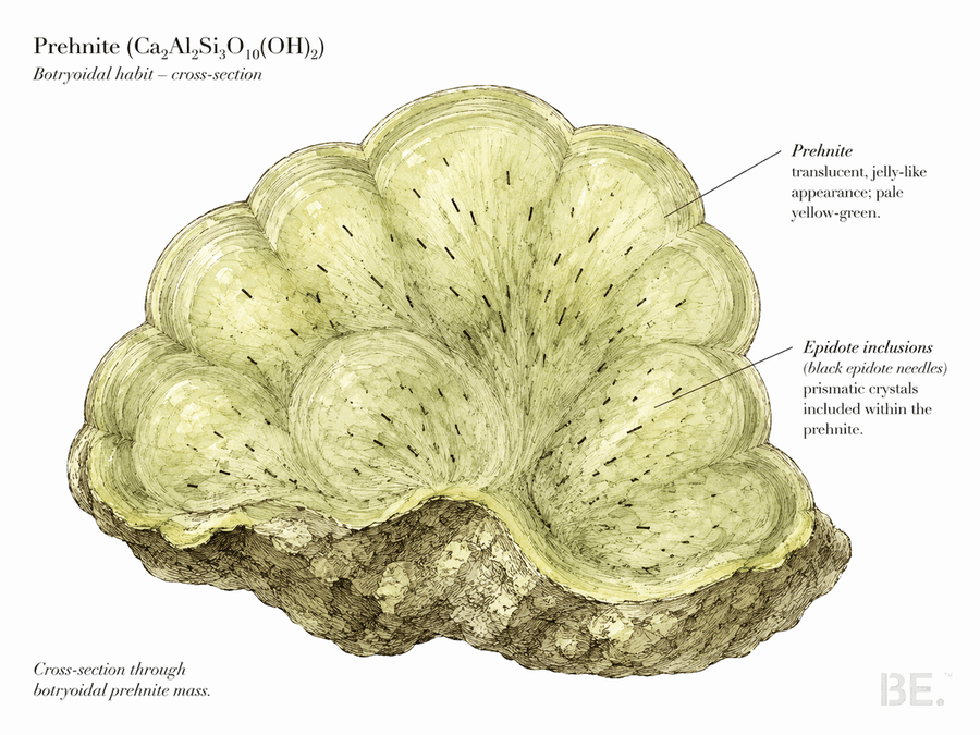 Cross-section of botryoidal prehnite showing translucent interior and epidote inclusions