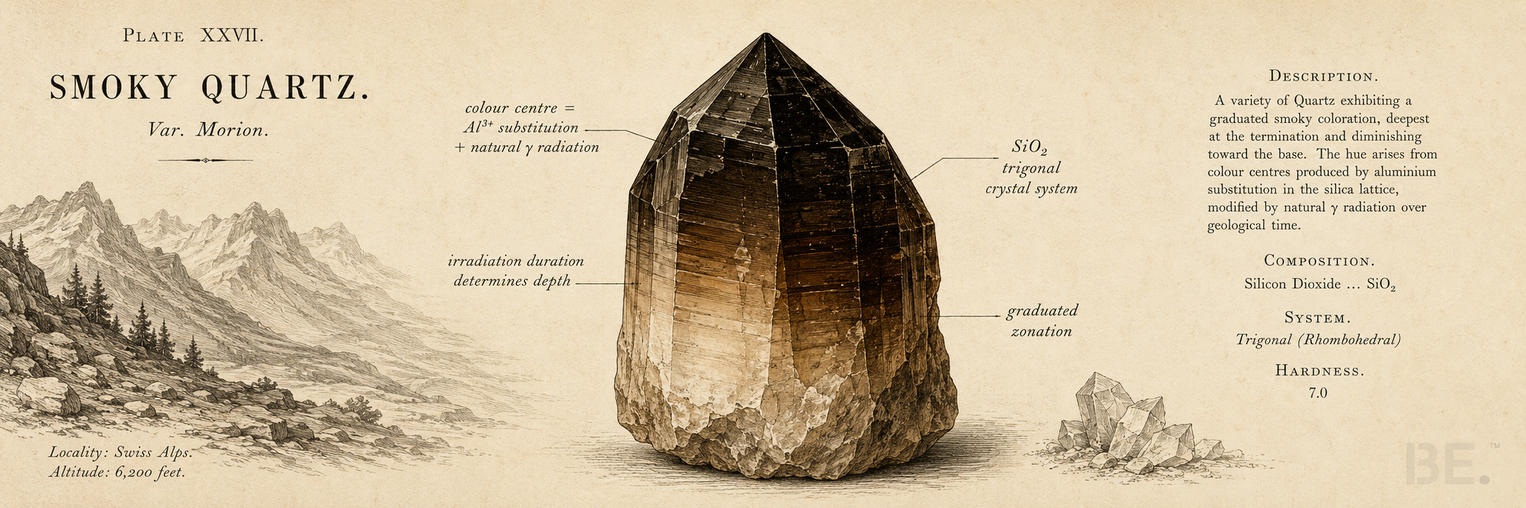 Smoky quartz crystals showing natural radiation-induced colour from pale grey to deep brown