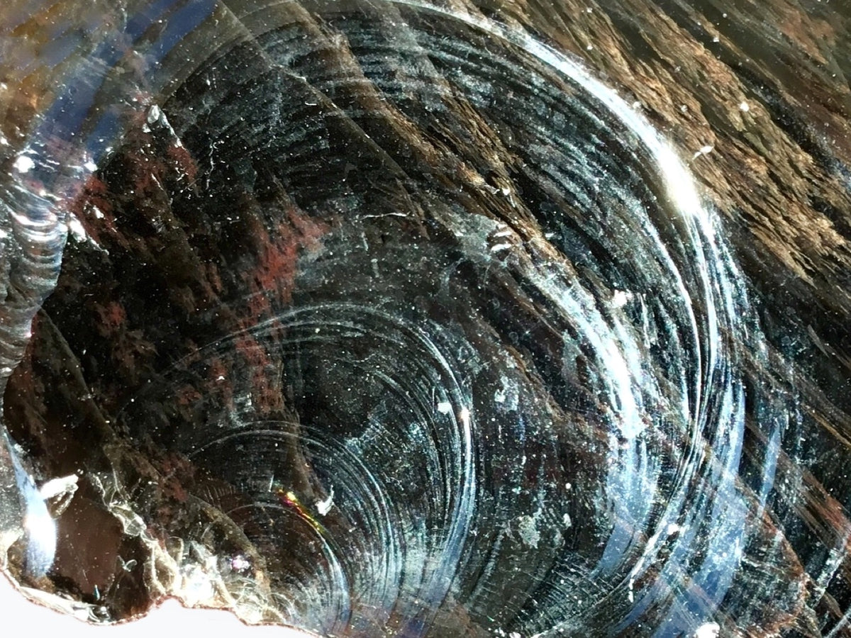 Obsidian specimen showing conchoidal fracture: smooth curved glassy surfaces radiating from one point of impact