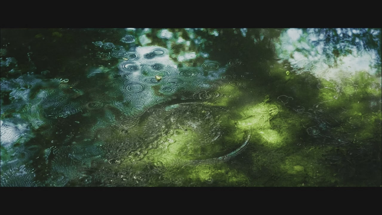 Load video: BE. brand video20251020